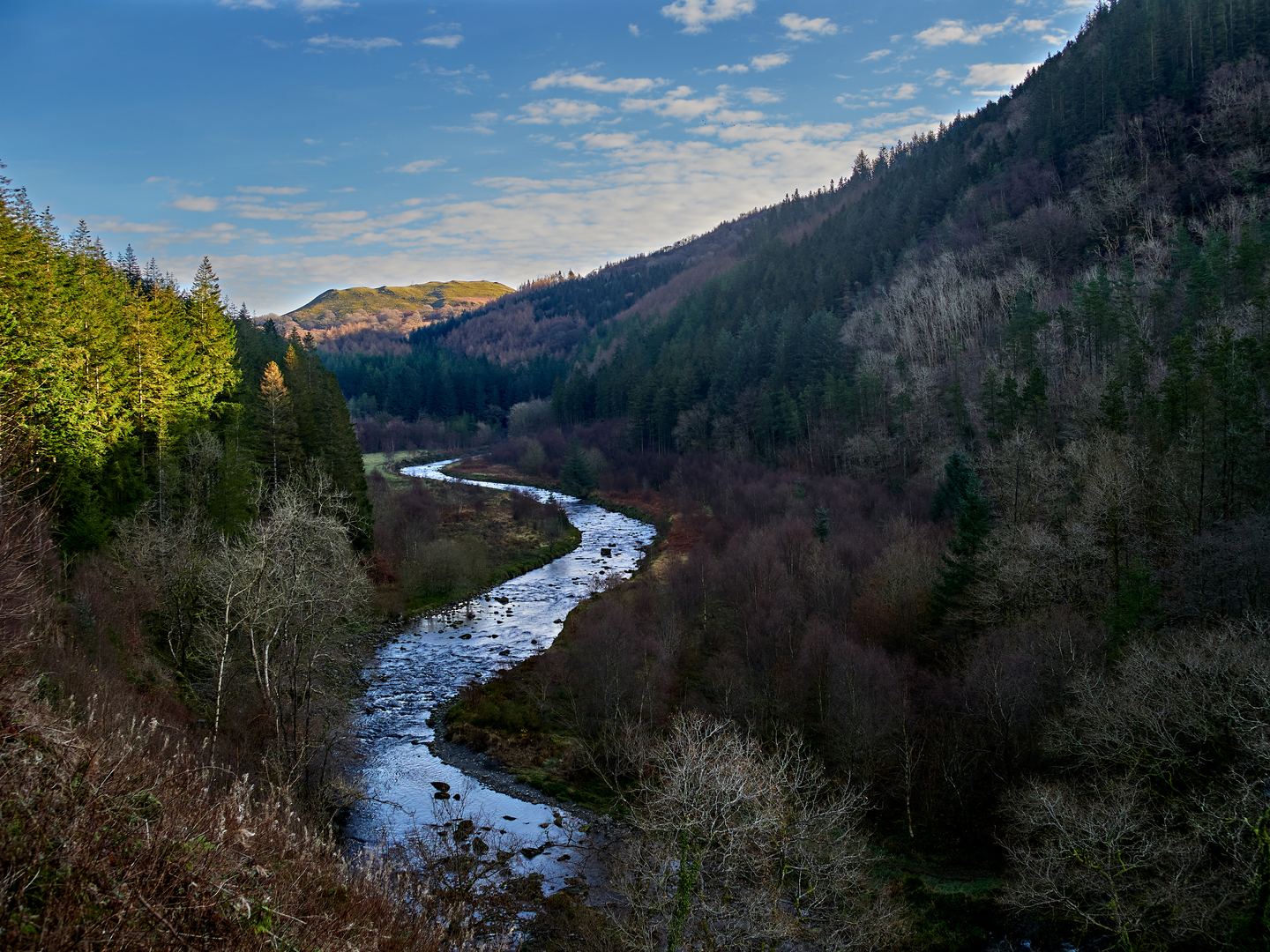 An image depicting the trail Borth to Devil's Bridge to Pontrhydfendigaid Trail and its surrounding area.