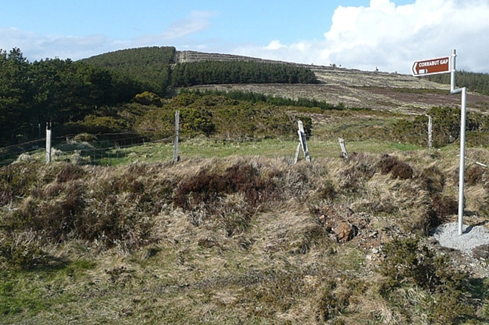 An image depicting the trail Kilbrannish Hill Loop and its surrounding area.