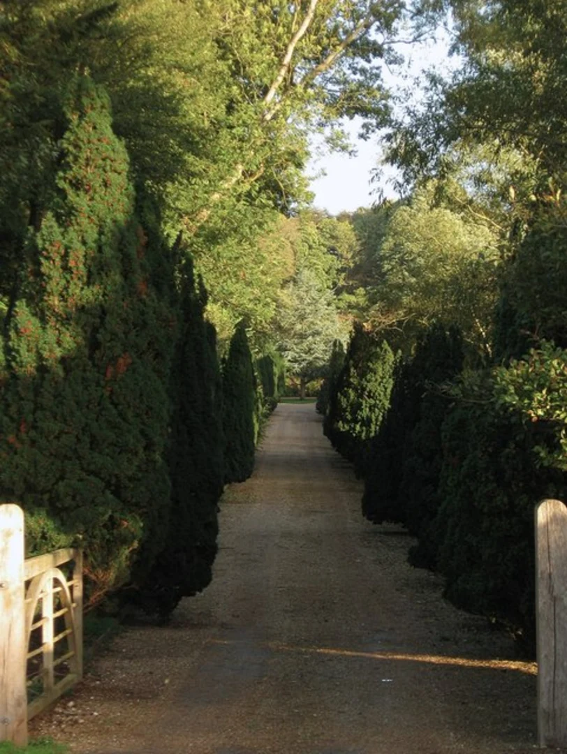 An image depicting the trail Exceat to Alfriston Loop and its surrounding area.