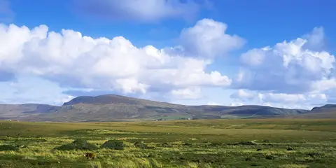 An image depicting the trail Clogher - Bog Loop and its surrounding area.