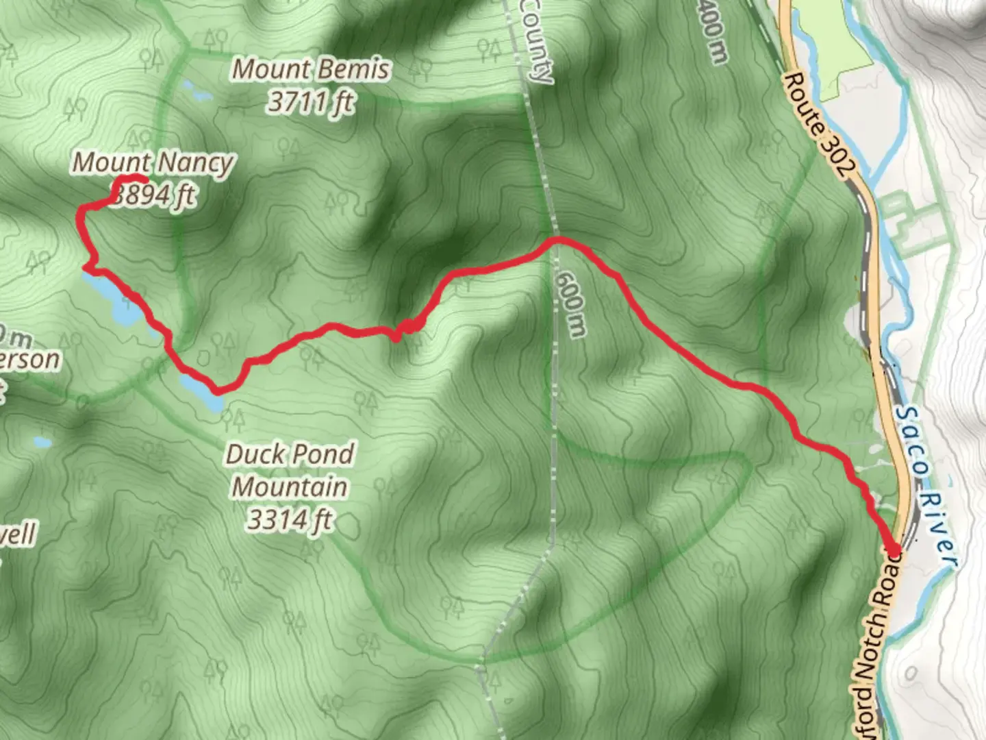 An image depicting the trail Mount Nancy and its surrounding area.