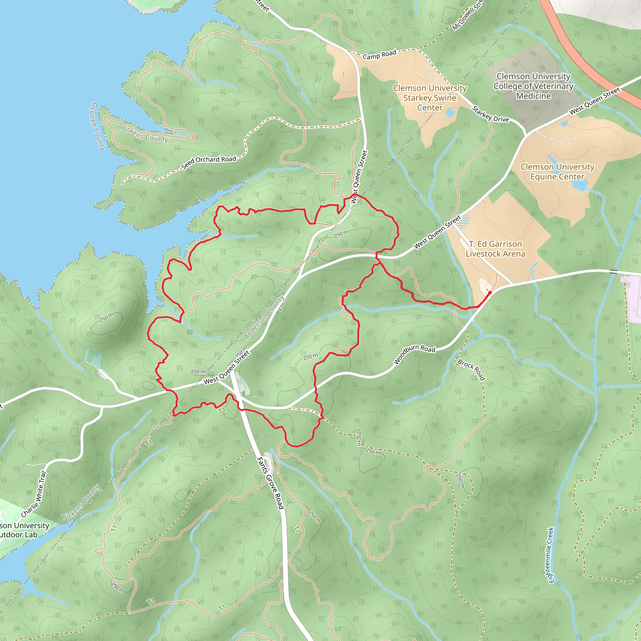Arena Boulevard Loop mobile static map