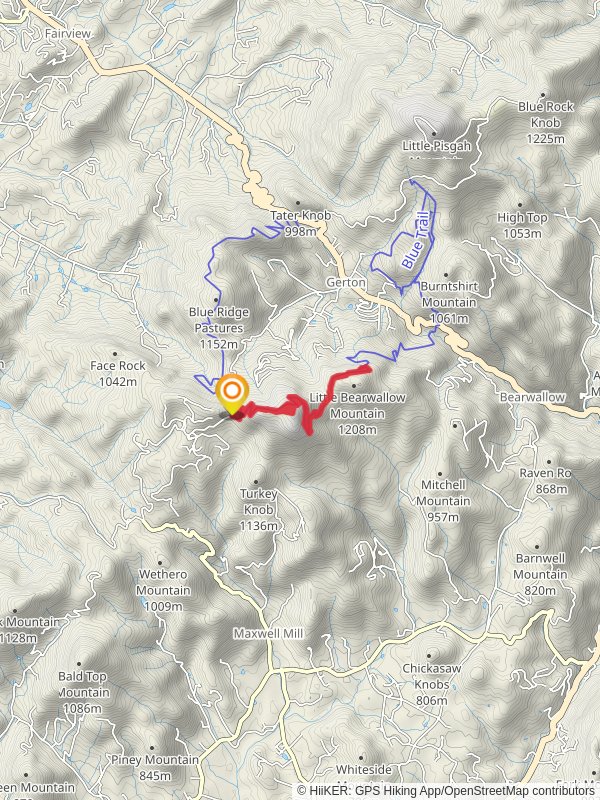 Bearwallow Mountain Trail and Wildcat Rock Trail