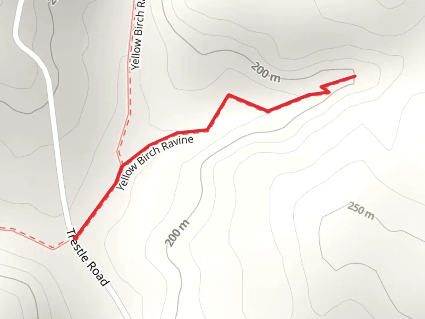 An image depicting the trail Yellow Birch Ravine and its surrounding area.