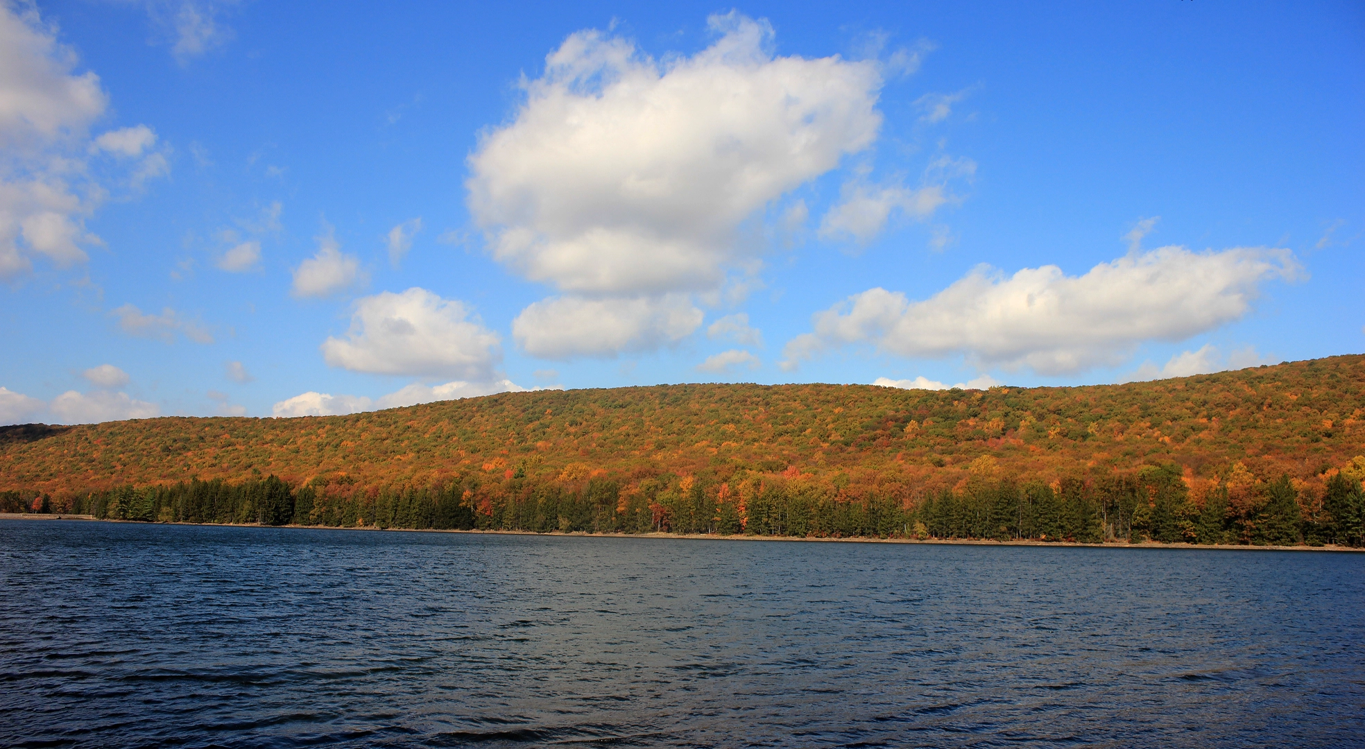 An image depicting the trail Shamokin Reservoir Loop via Brush Valley Reservoir and its surrounding area.