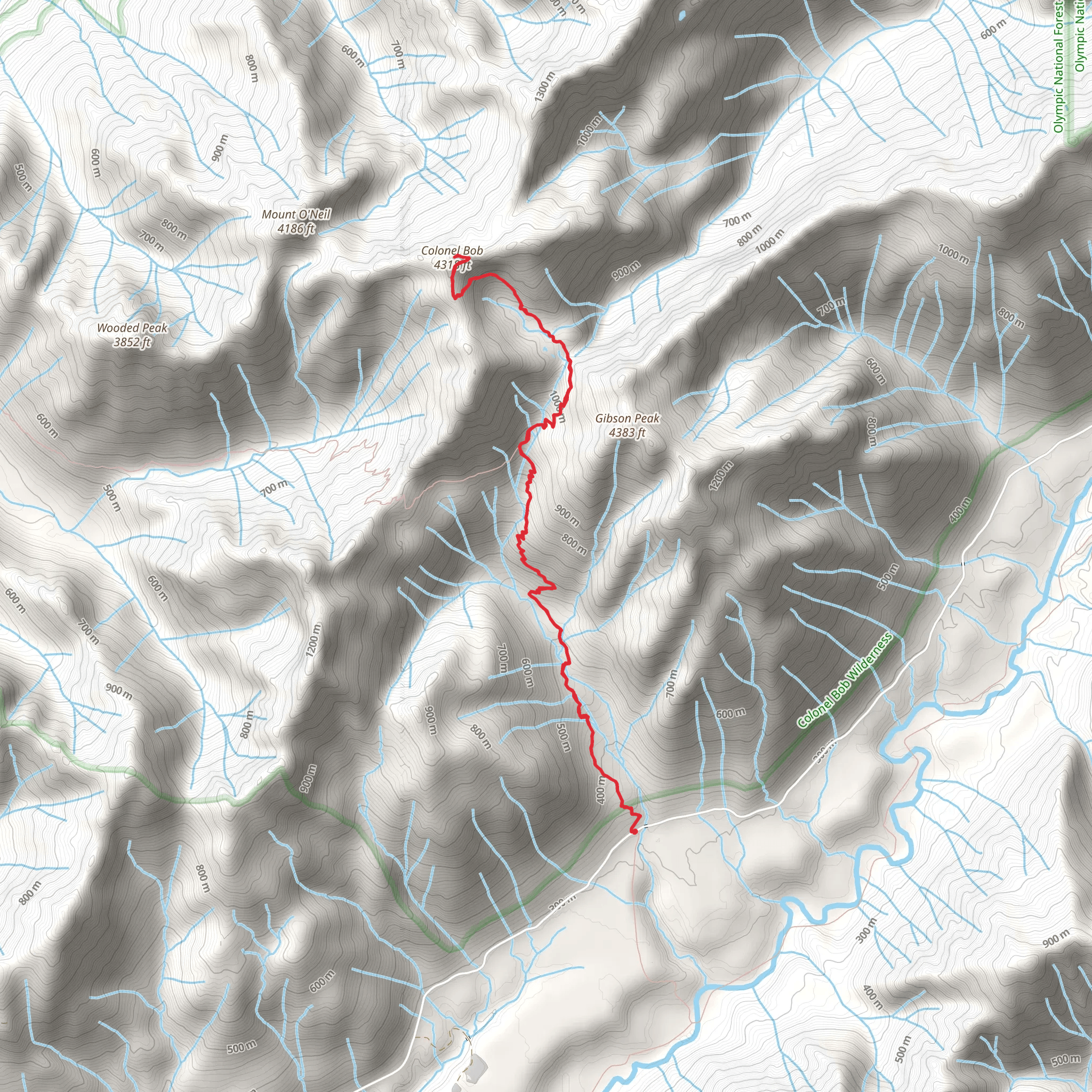 Colonel Bob via Petes Creek Trail mobile static map