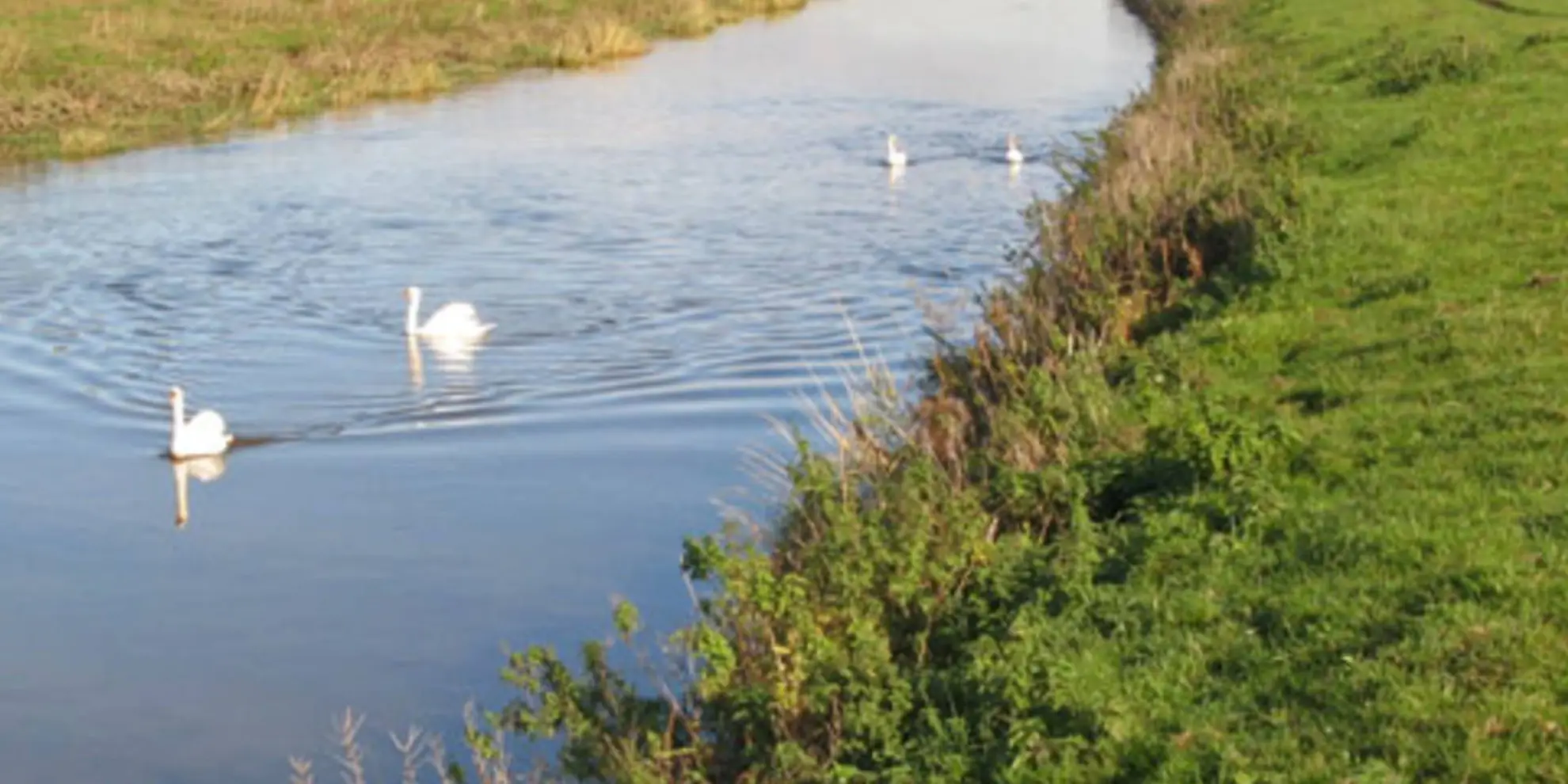 An image depicting the trail River Don and New Junction Canal from Fishlake and its surrounding area.