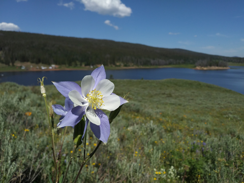 An image depicting the trail Silver Creek Trail and its surrounding area.