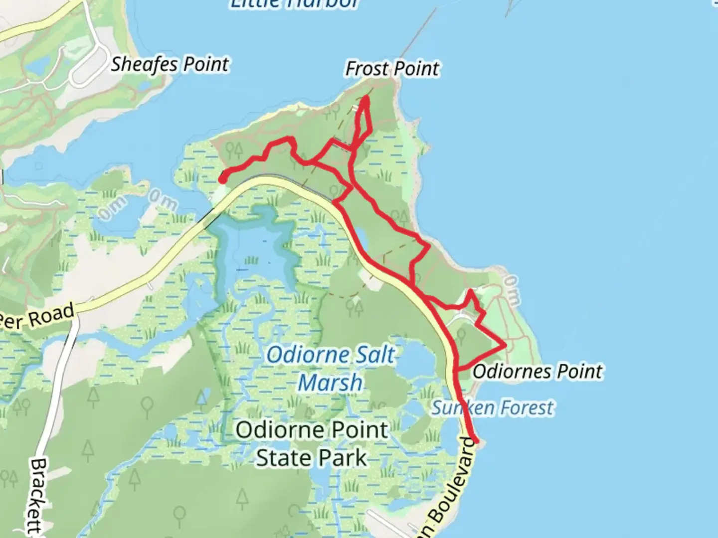 An image depicting the trail Odiorne Point State Park Loop and its surrounding area.