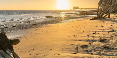 An image depicting the trail Bembridge Trail and its surrounding area.