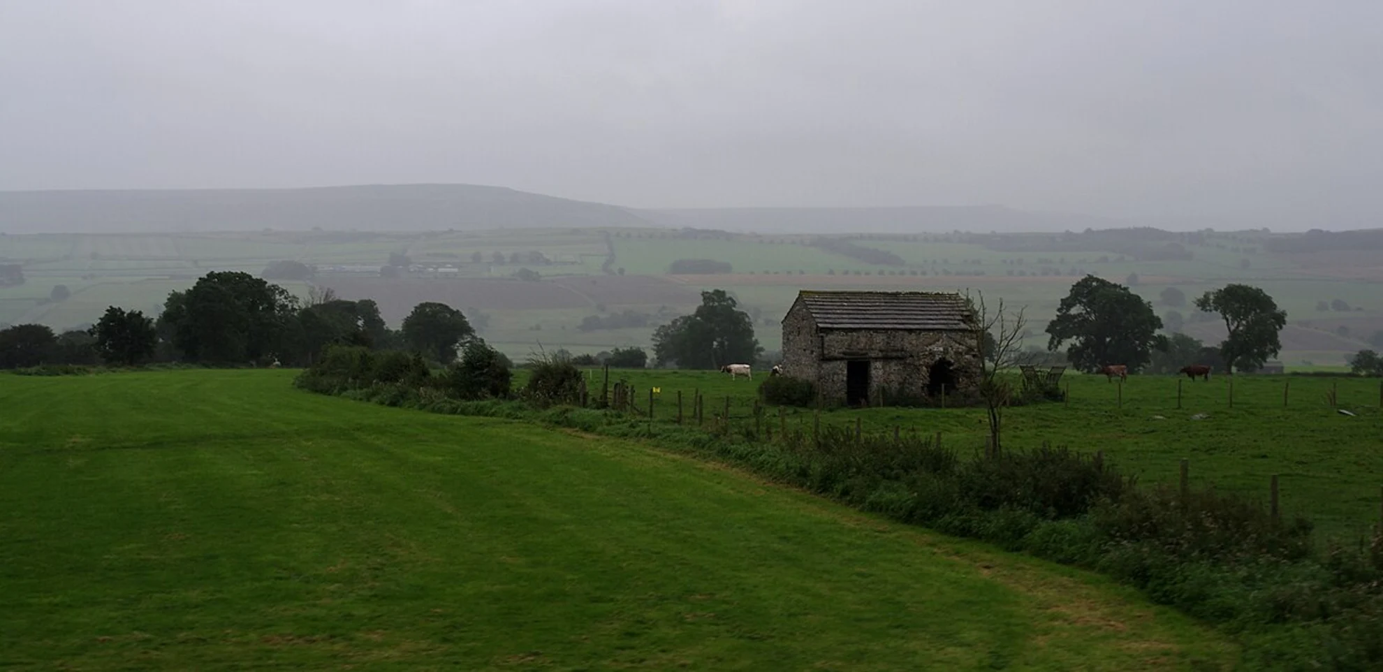An image depicting the trail Preston under Scar and West Witton Loop via Penhill Quarry and its surrounding area.