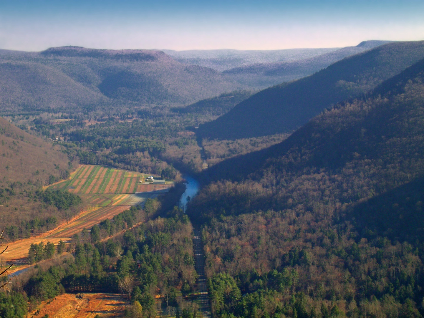 An image depicting the trail Smiths Knob Loop via Loyalsock Trail and its surrounding area.