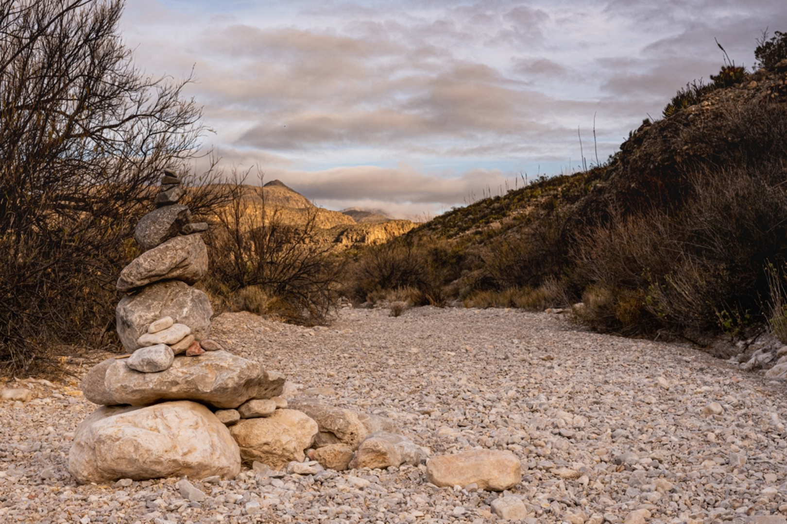 An image depicting the trail Marufo Vega Trail and its surrounding area.