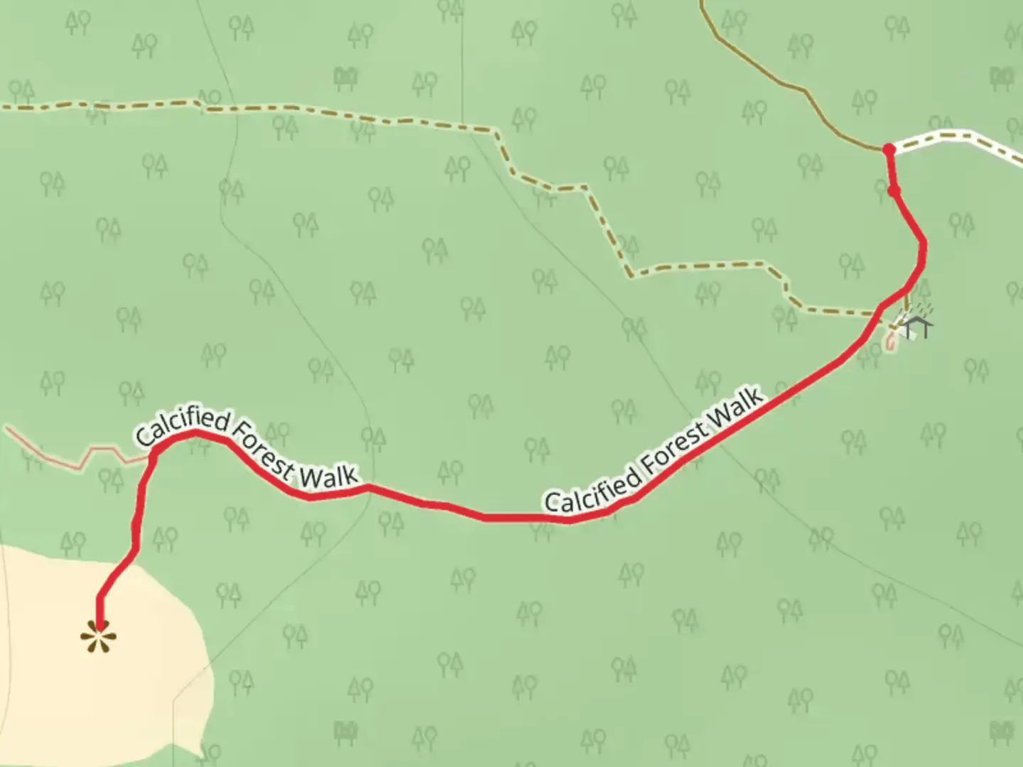 An image depicting the trail Calcified Forest Walk and its surrounding area.
