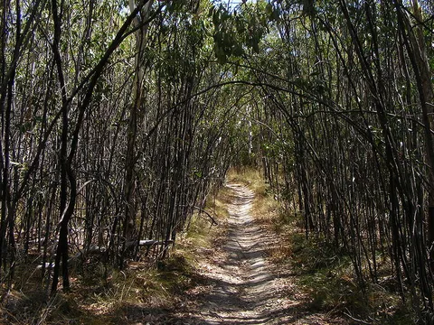 Totness Recreation Park - Southern Perimeter Loop Walk