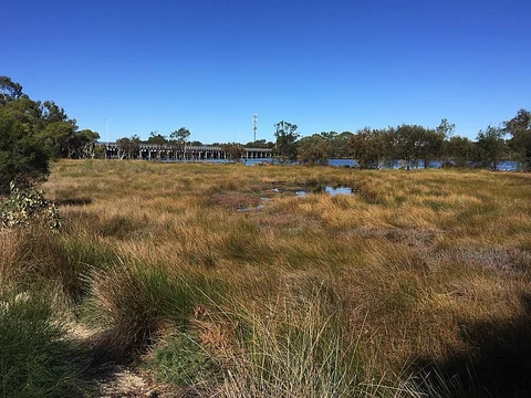 Baigup Wetland Trail
