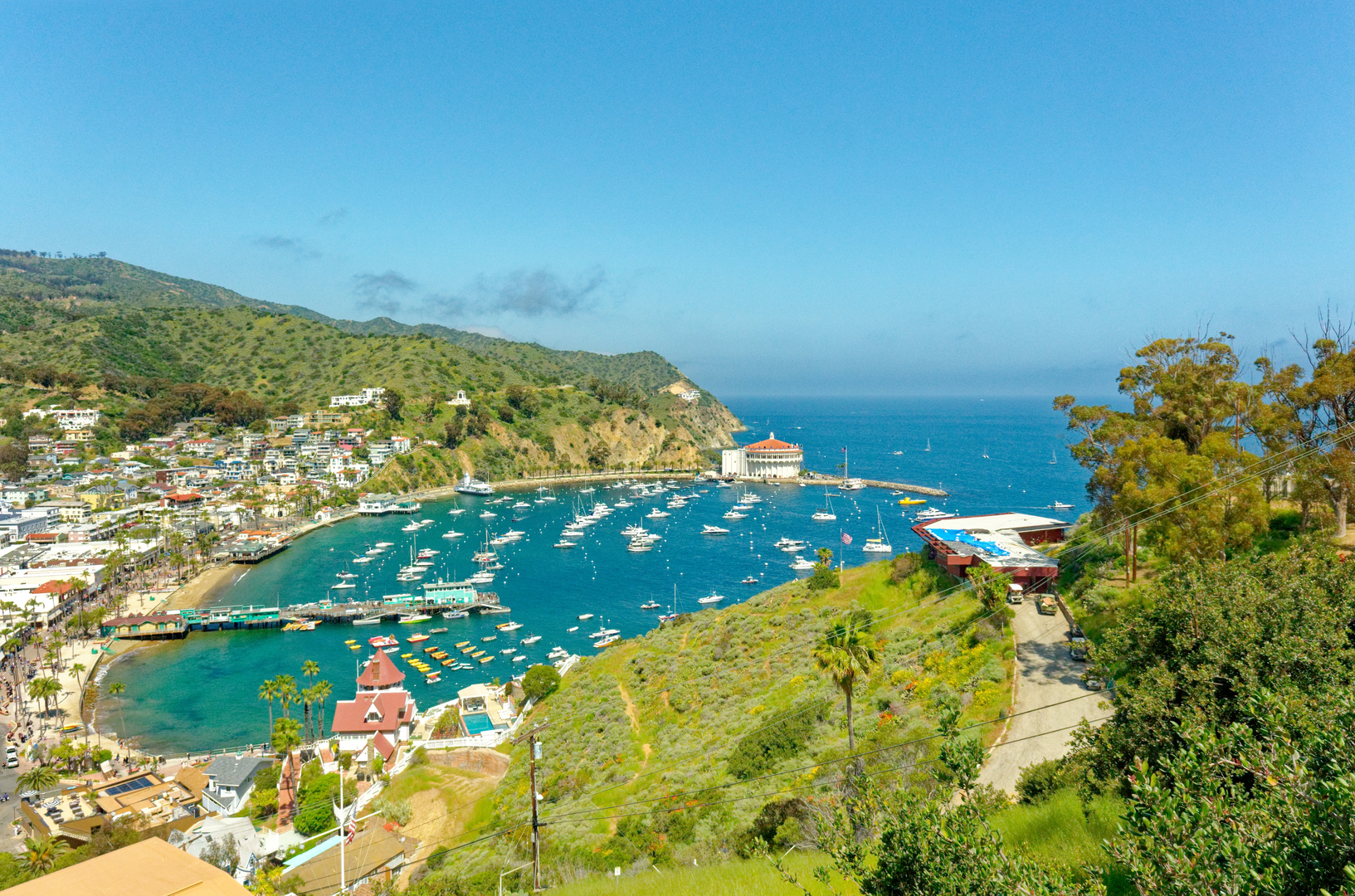 An image depicting the trail Walk along Avalon Bay and its surrounding area.