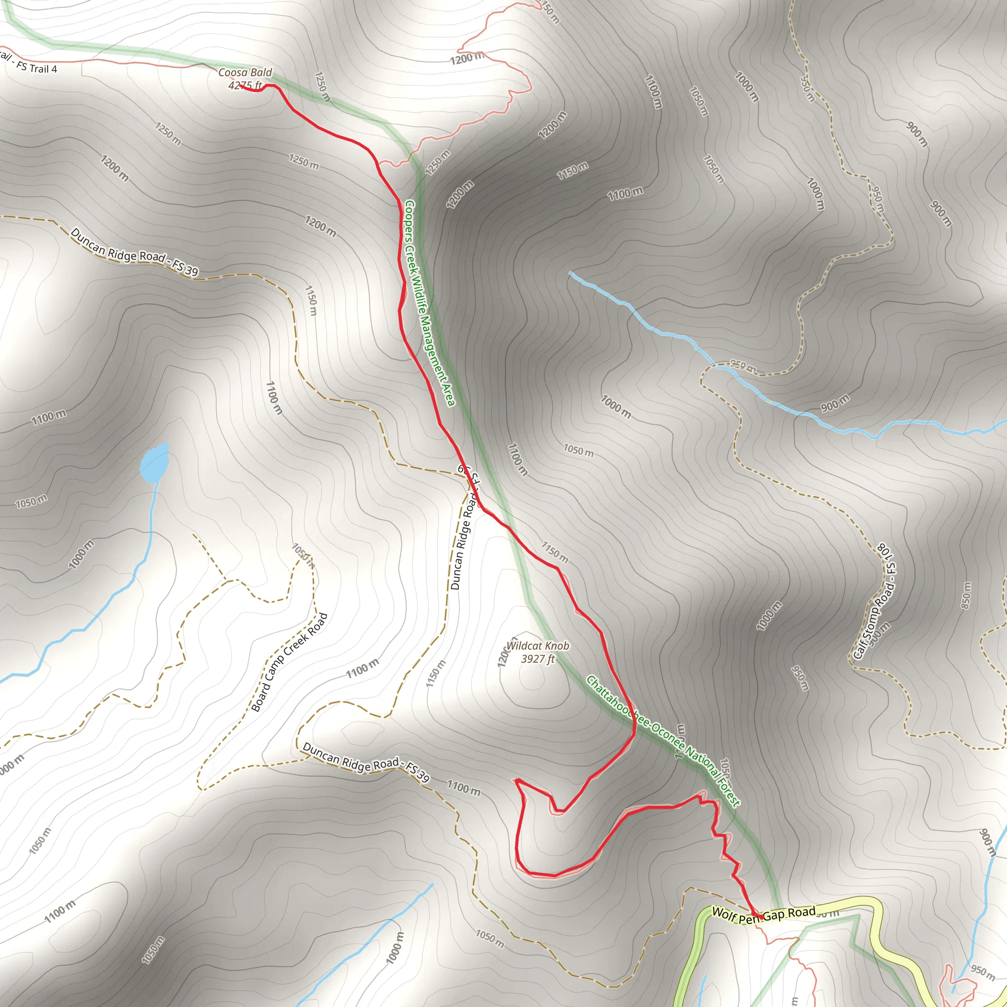 Coosa Bald via Duncan Ridge Trail mobile static map