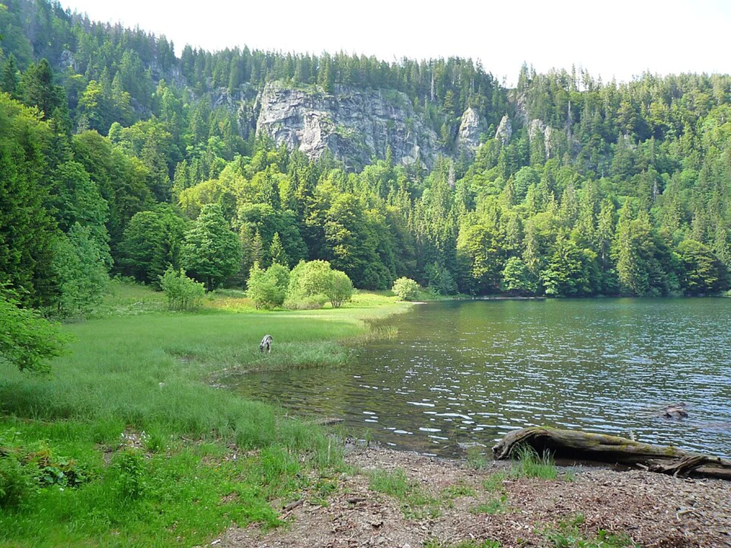 An image depicting the trail Feldsee via Karl-Egon-Weg and its surrounding area.