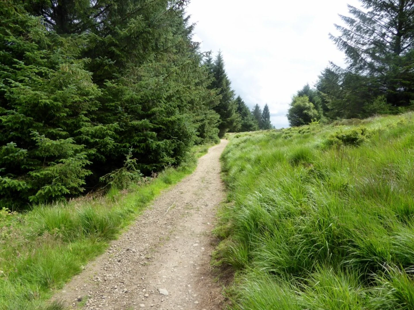 An image depicting the trail Beacon Fell Country Park and its surrounding area.