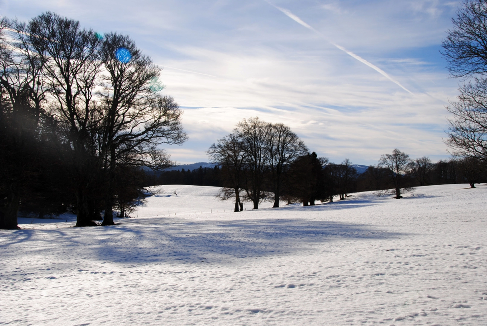 An image depicting the trail Sentier des Statues and its surrounding area.