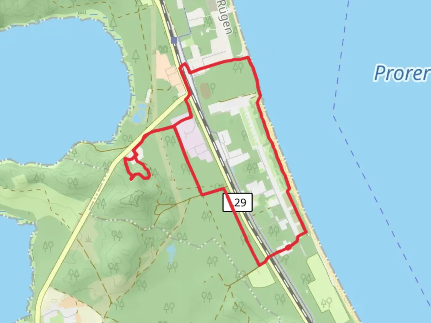An image depicting the trail Baumwipfelpfad Ruegen Loop and its surrounding area.