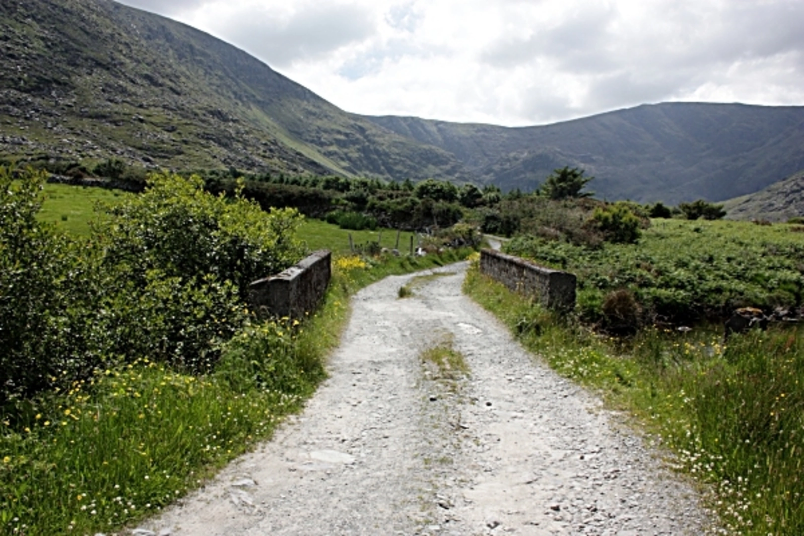 An image depicting the trail Meenteog South - East Top and its surrounding area.