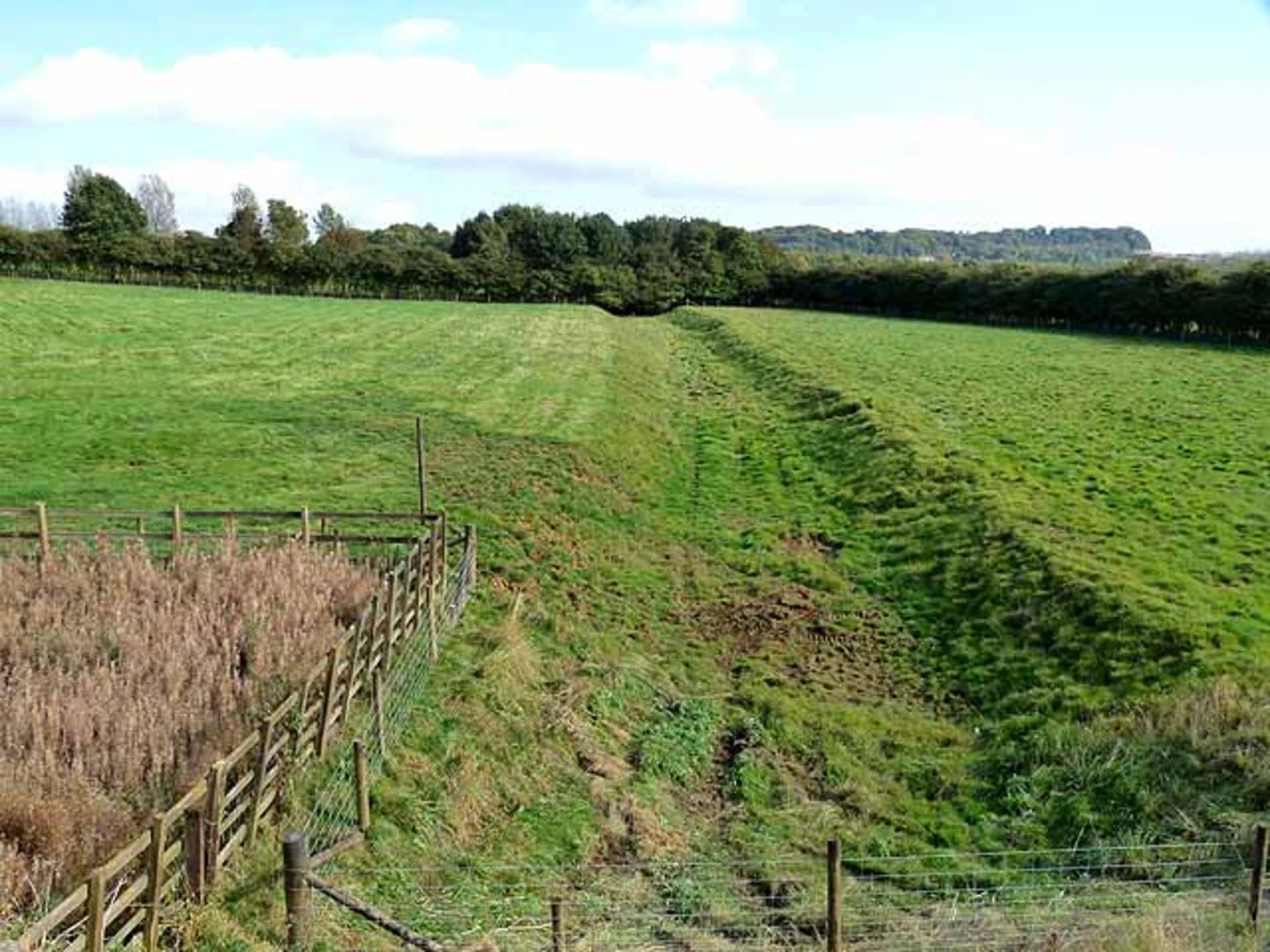 An image depicting the trail Horsebottom Plantation Loop and its surrounding area.