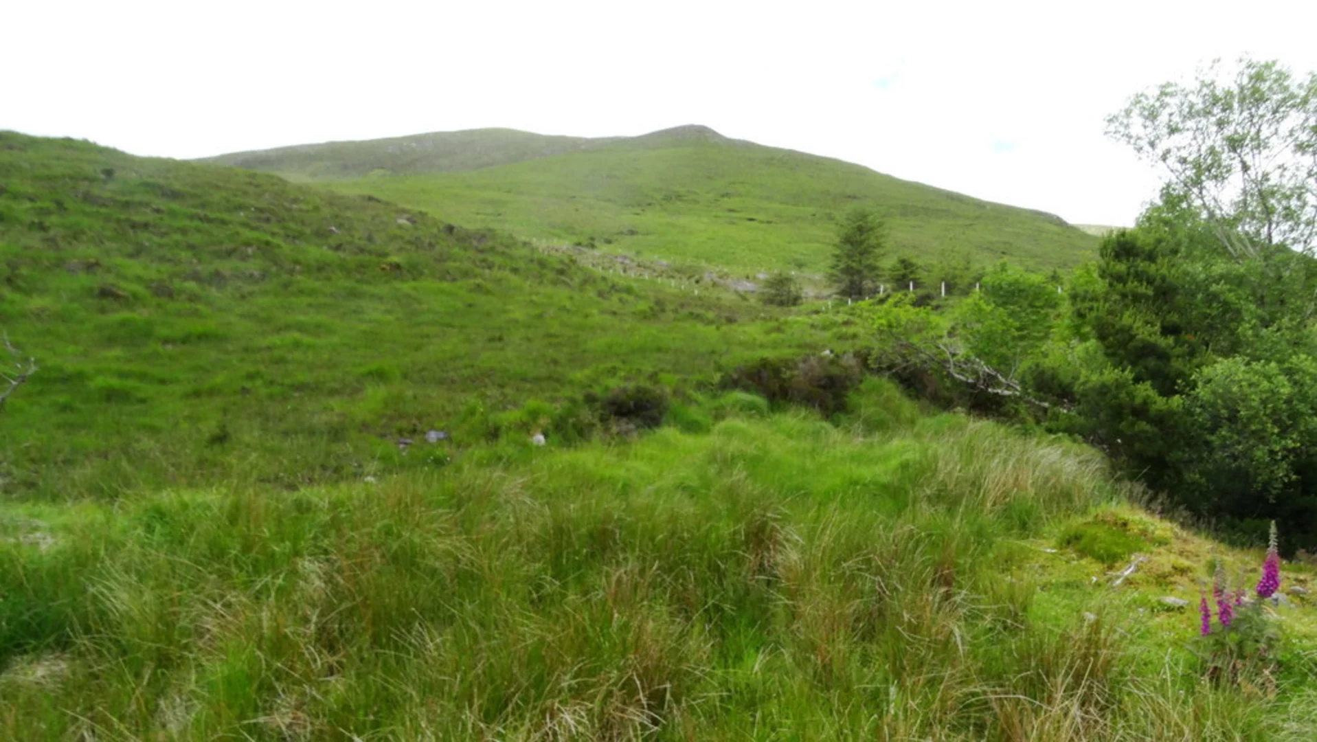 An image depicting the trail Nephin Beg and Slieve Carr via Letterkeen Trail and its surrounding area.