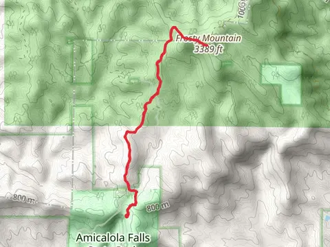 Frosty and Amicalola Mountain