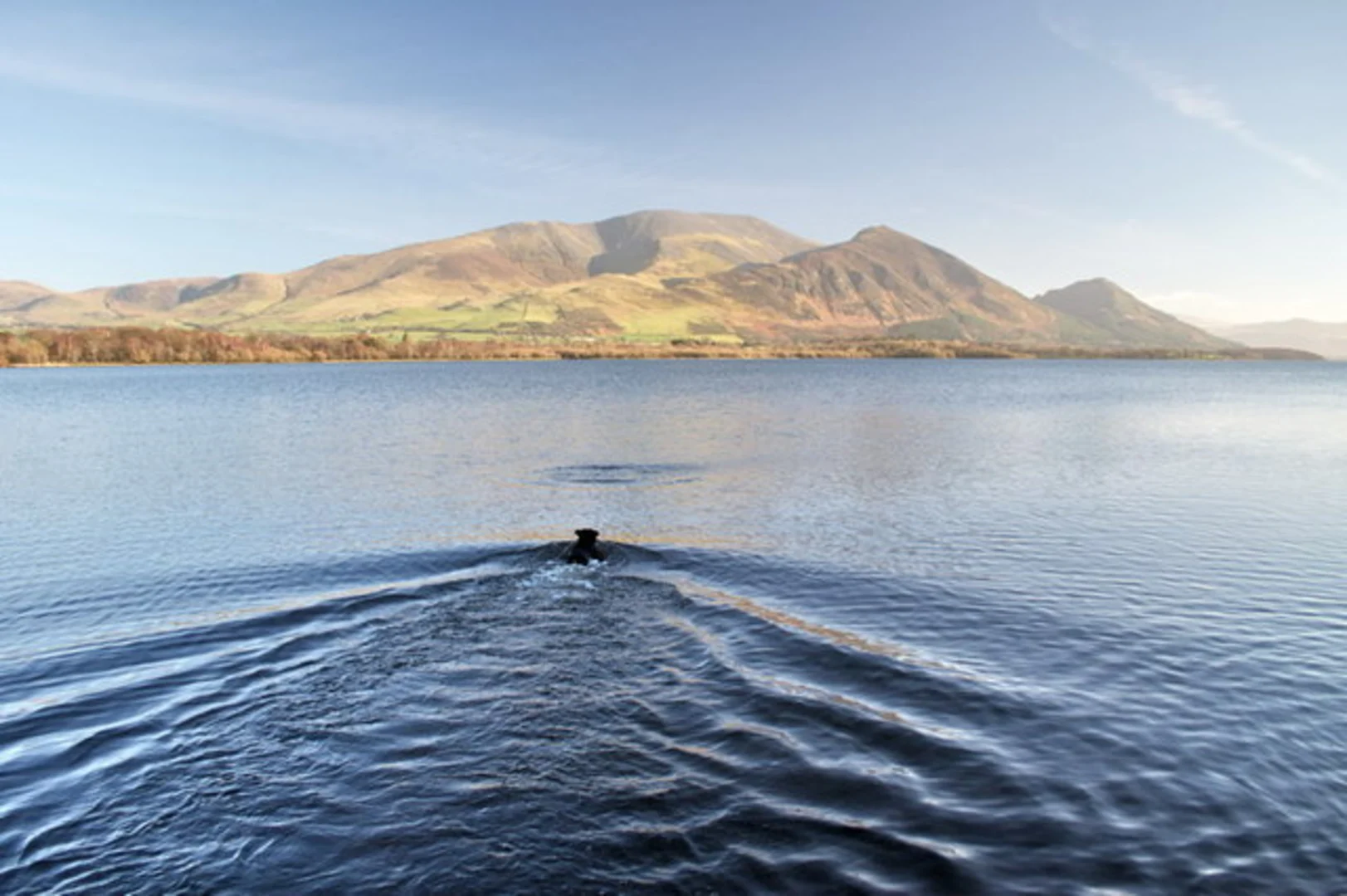 An image depicting the trail Millbeck to Bassenthwaite Walk via Bassenthwaite Lake and its surrounding area.