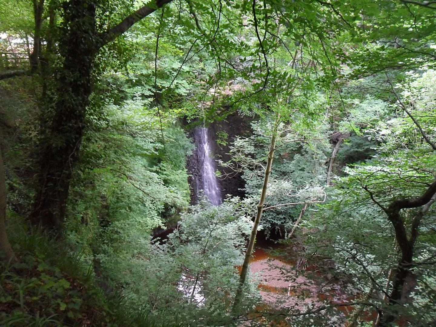 An image depicting the trail Falling Foss Waterfall and its surrounding area.
