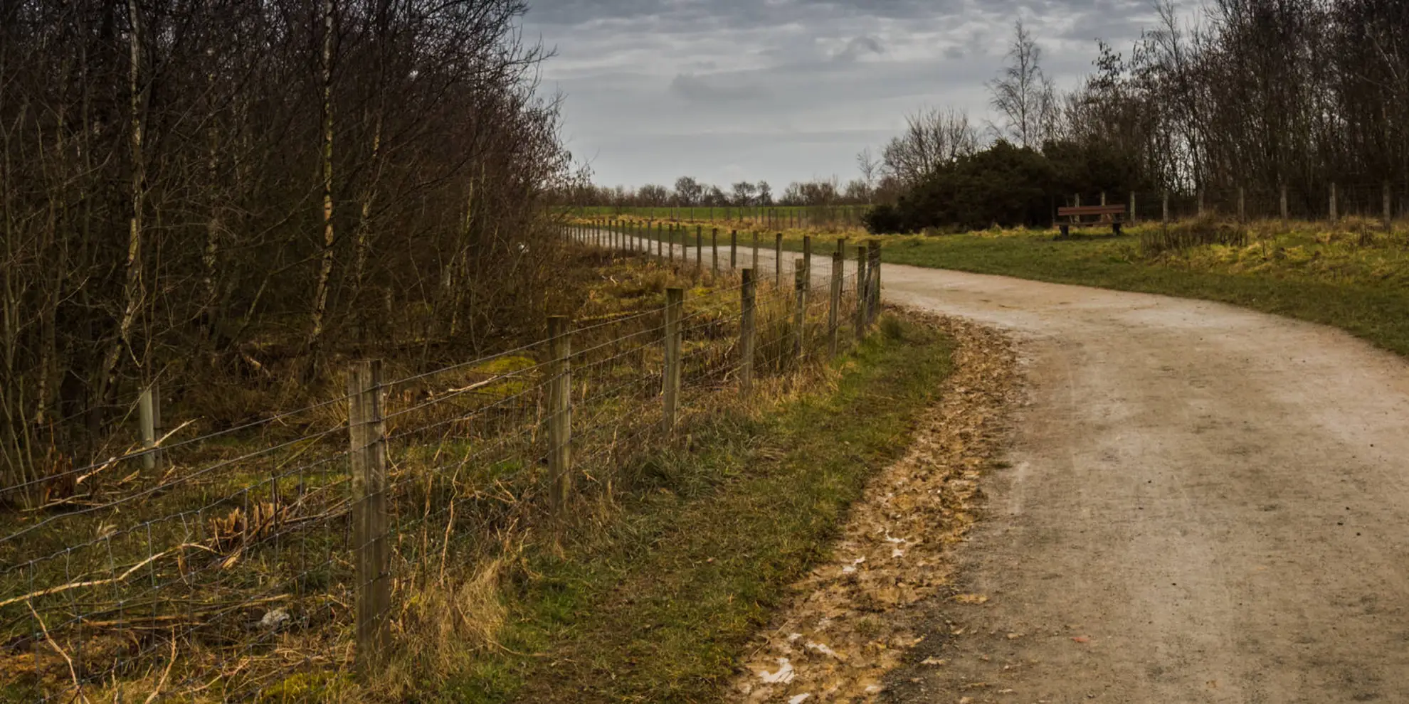 An image depicting the trail Big Blean Walk and its surrounding area.