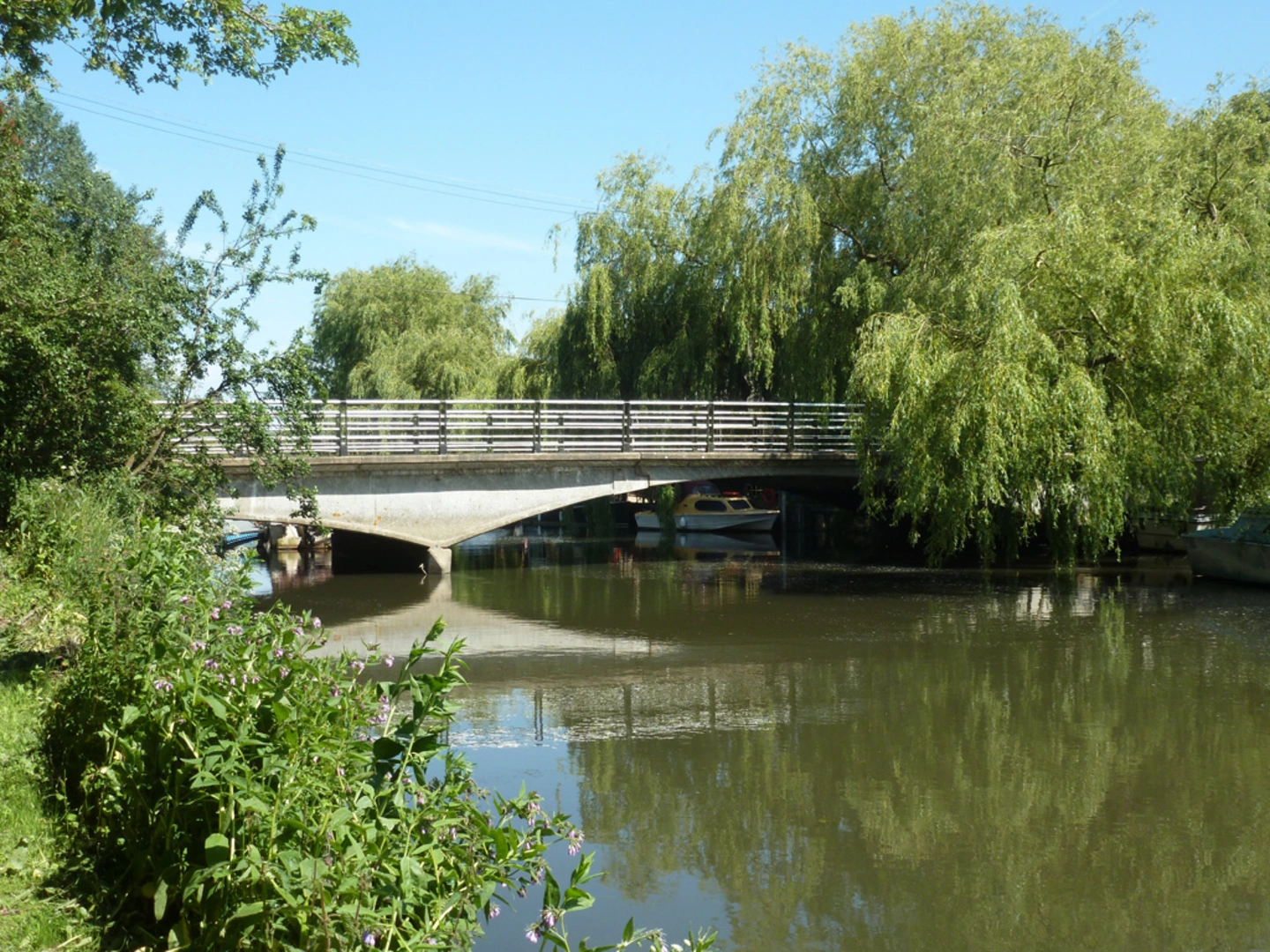 An image depicting the trail East Stourmouth Loop and its surrounding area.