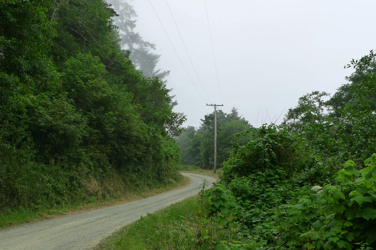California Coastal Trail Tey-wo-lew Section