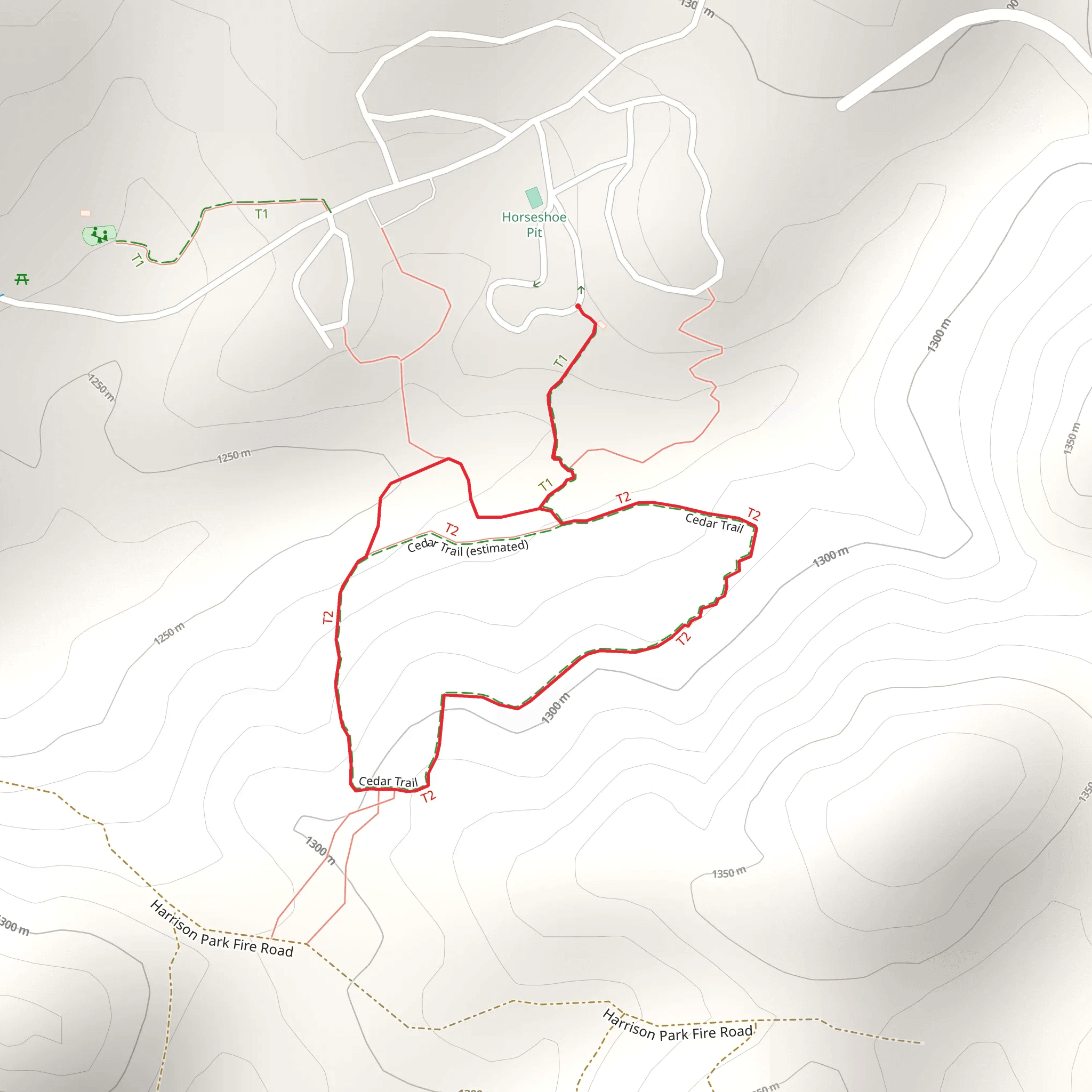 Cedar Loop Trail mobile static map