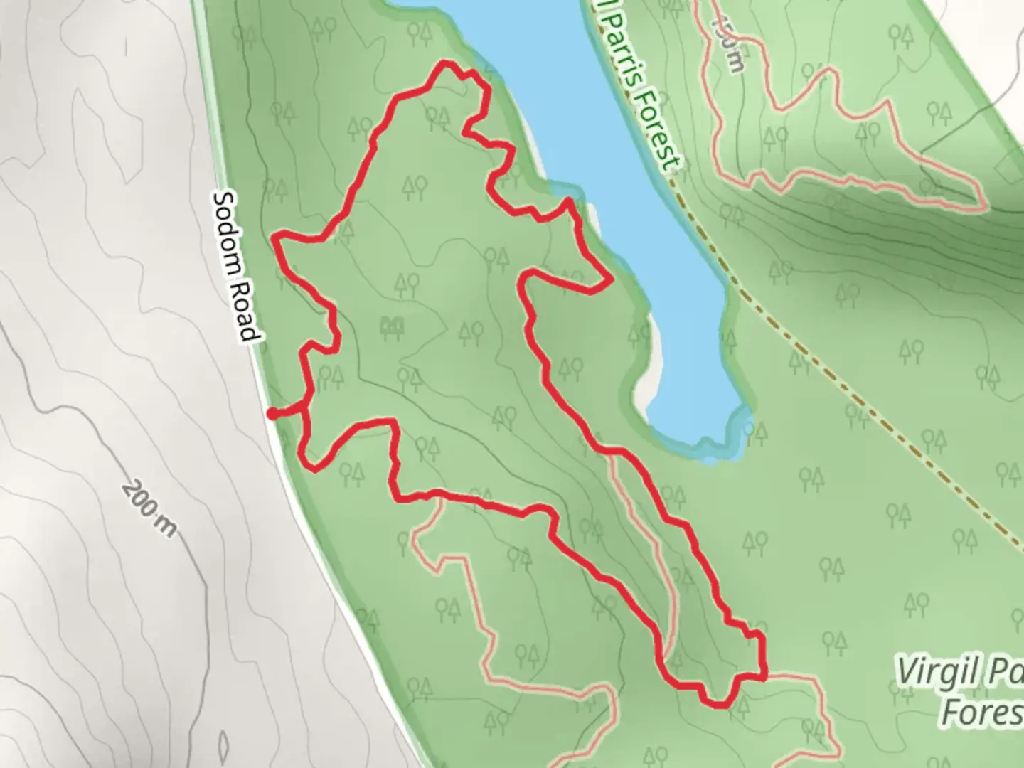 An image depicting the trail Packard Loop Trail and its surrounding area.