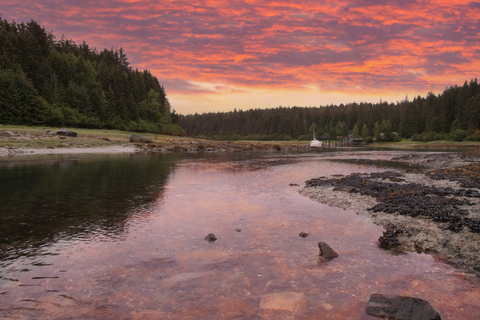 An image depicting the trail Tlingit Trail and its surrounding area.