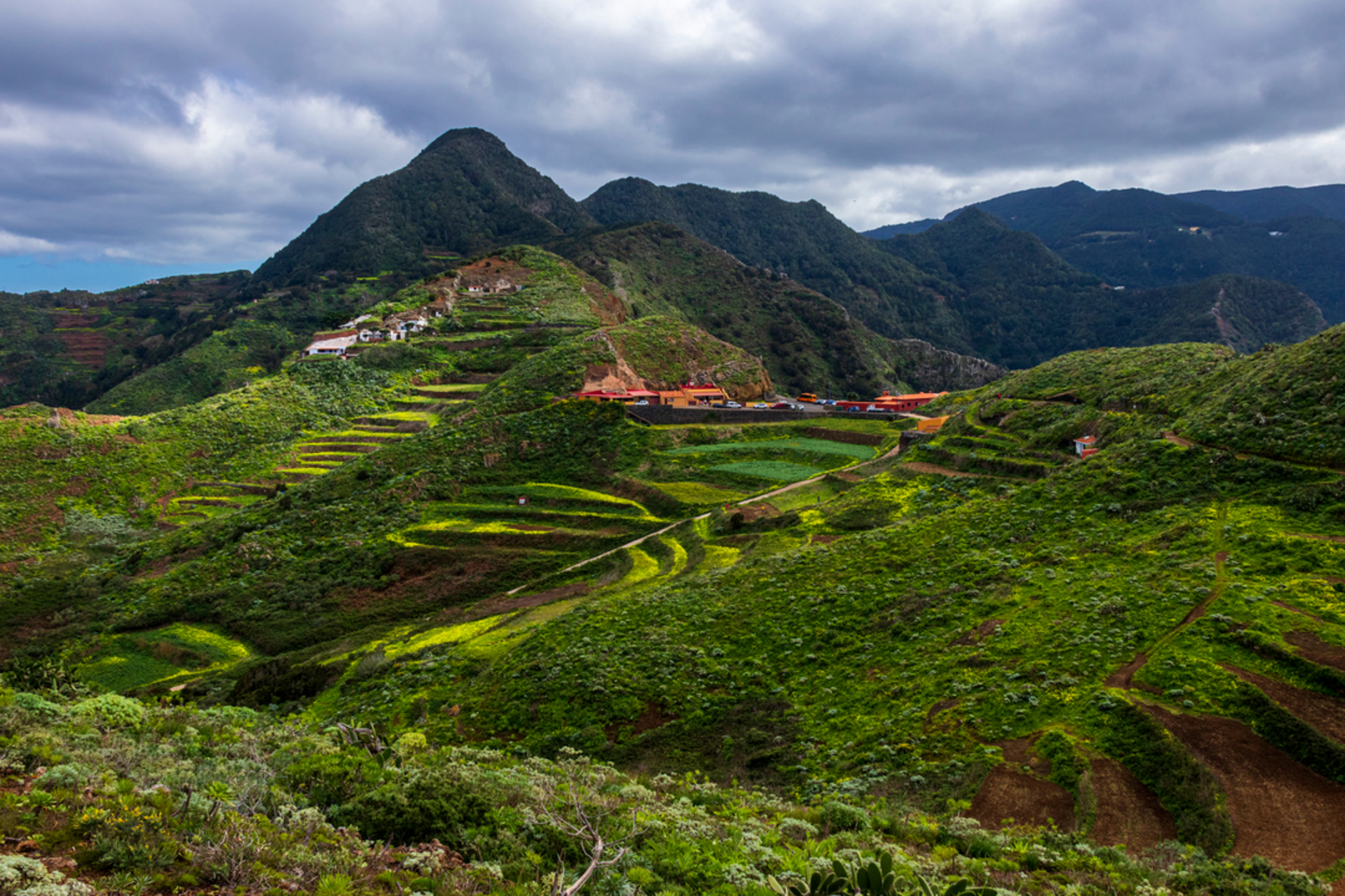 An image depicting the trail Las Escaleras - Las Carboneras PR TF 10-1 and its surrounding area.