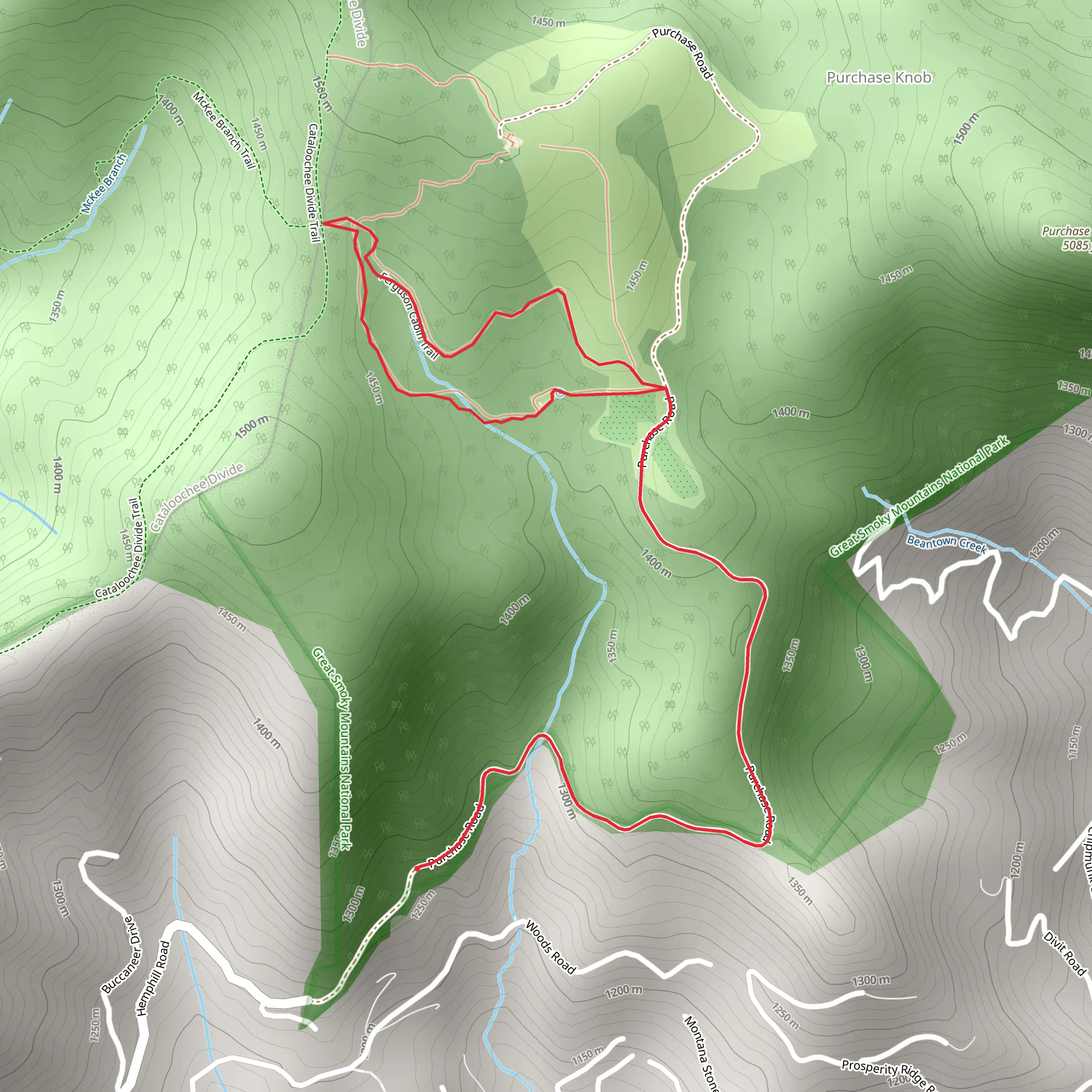 Ferguson Cabin Loop Trail mobile static map