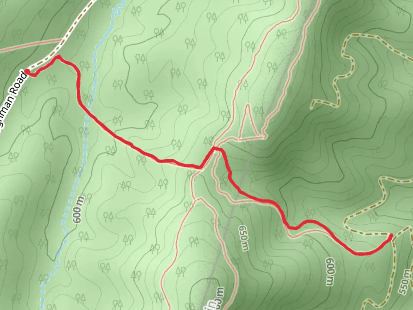 An image depicting the trail Narrowback Trail and its surrounding area.