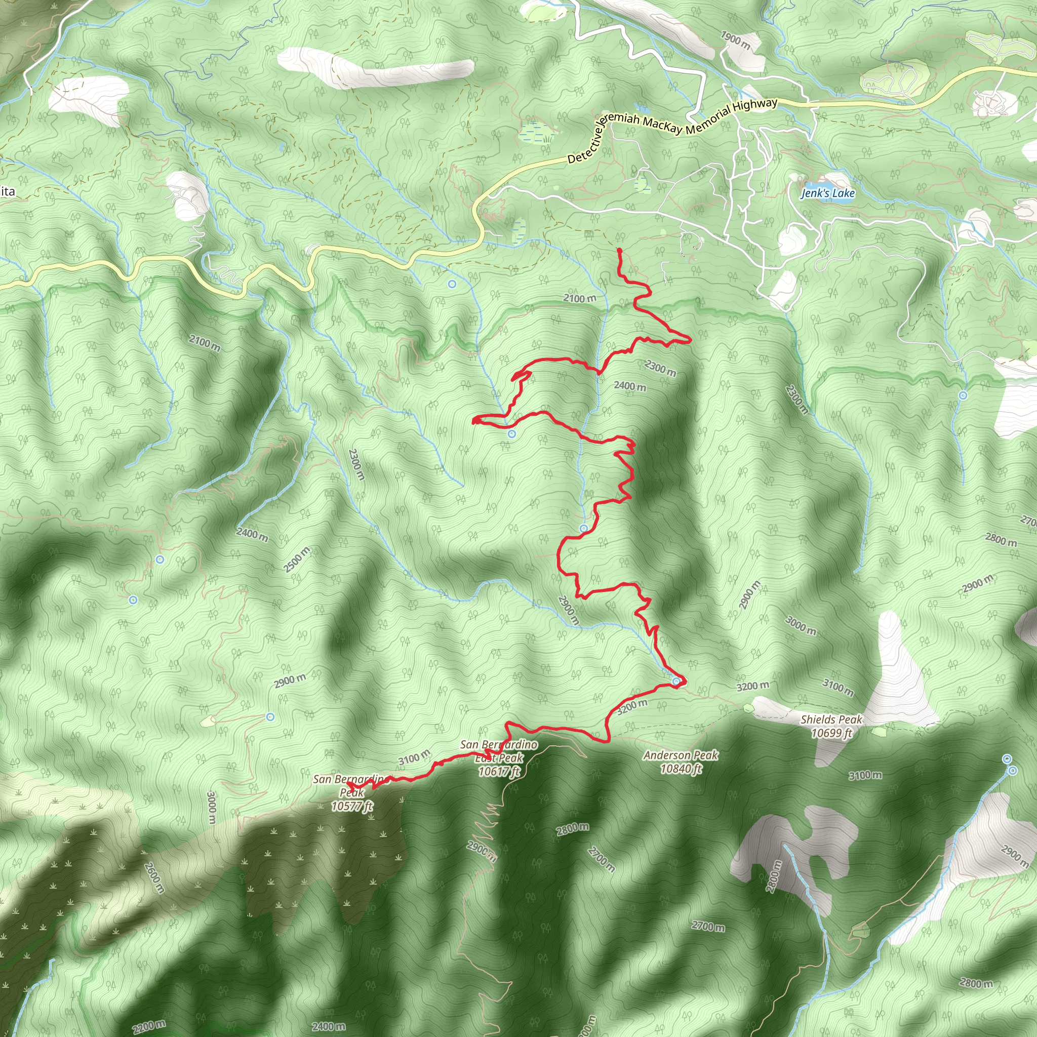 San Bernardino Peak Trail from Forsee Ridge Road mobile static map