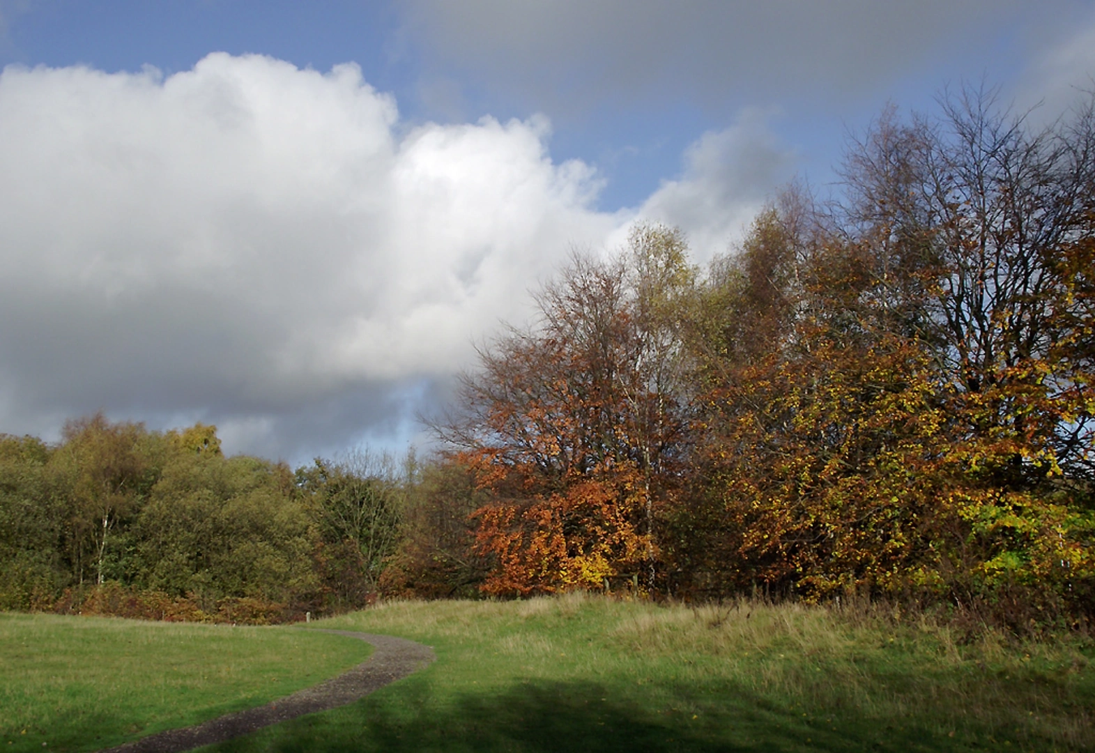 An image depicting the trail Baggereidge Toloscope and its surrounding area.