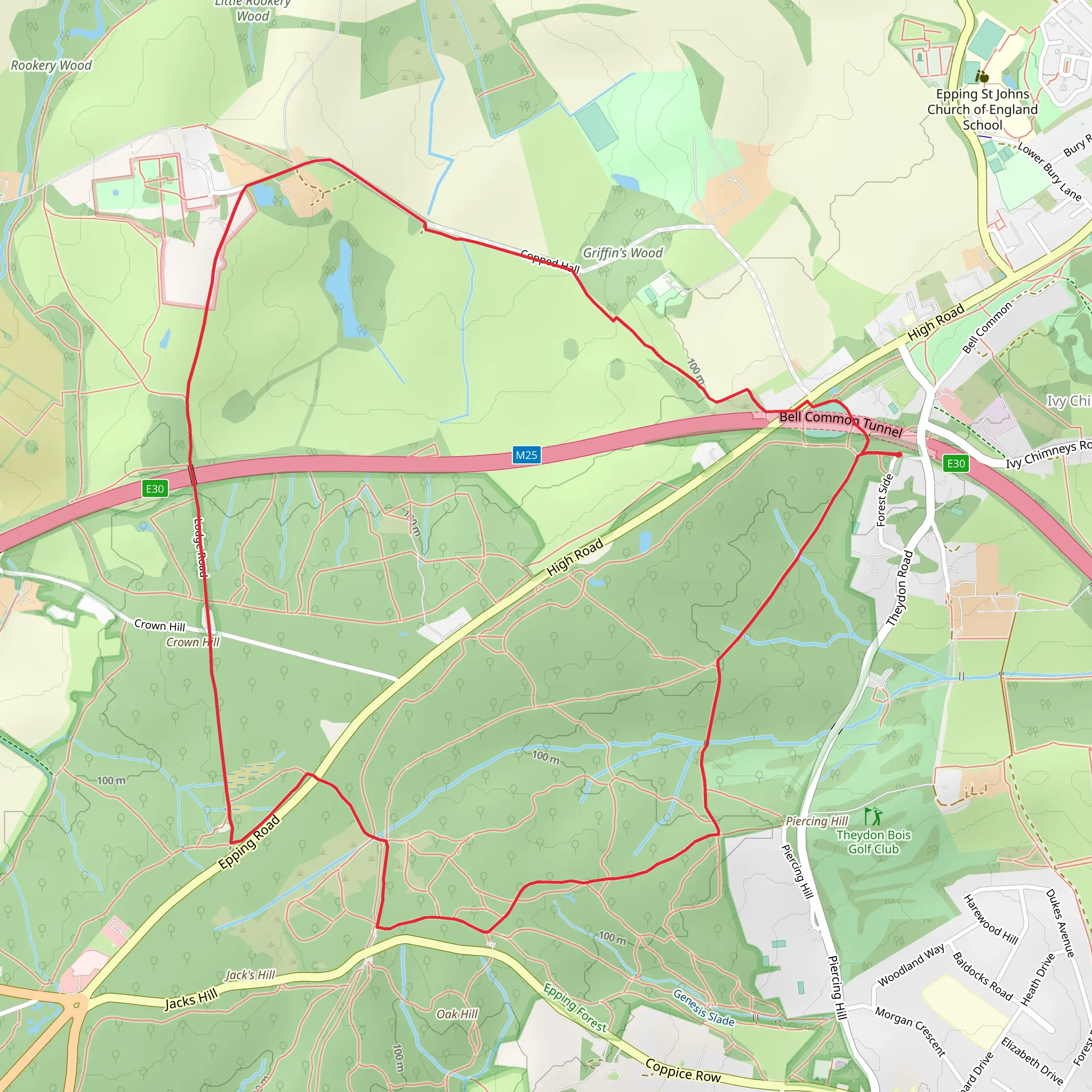 Epping Forest - Ambresbury Banks Loop mobile static map
