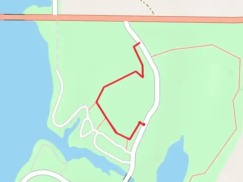 Forest Trail from Park Road 48