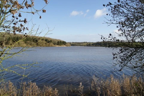 Markfiled Country Park and Thornton Reservoir Loop