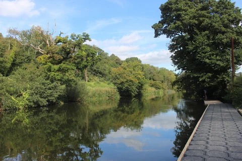An image depicting the trail Dundas and its surrounding area.