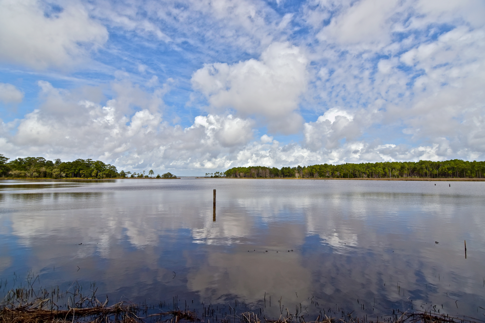 An image depicting the trail Ox Trail Path and its surrounding area.