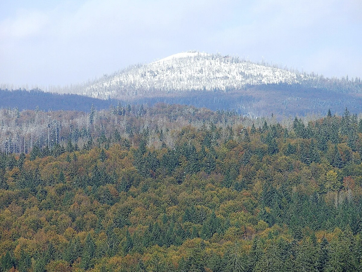 An image depicting the trail Martinsklause and Lusen via Ranne and Luchs and its surrounding area.