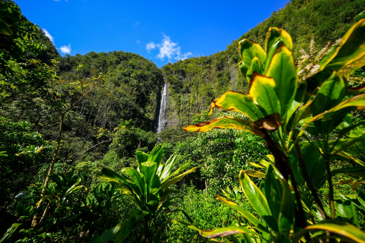Waimoku Falls via Pipiwai Trail